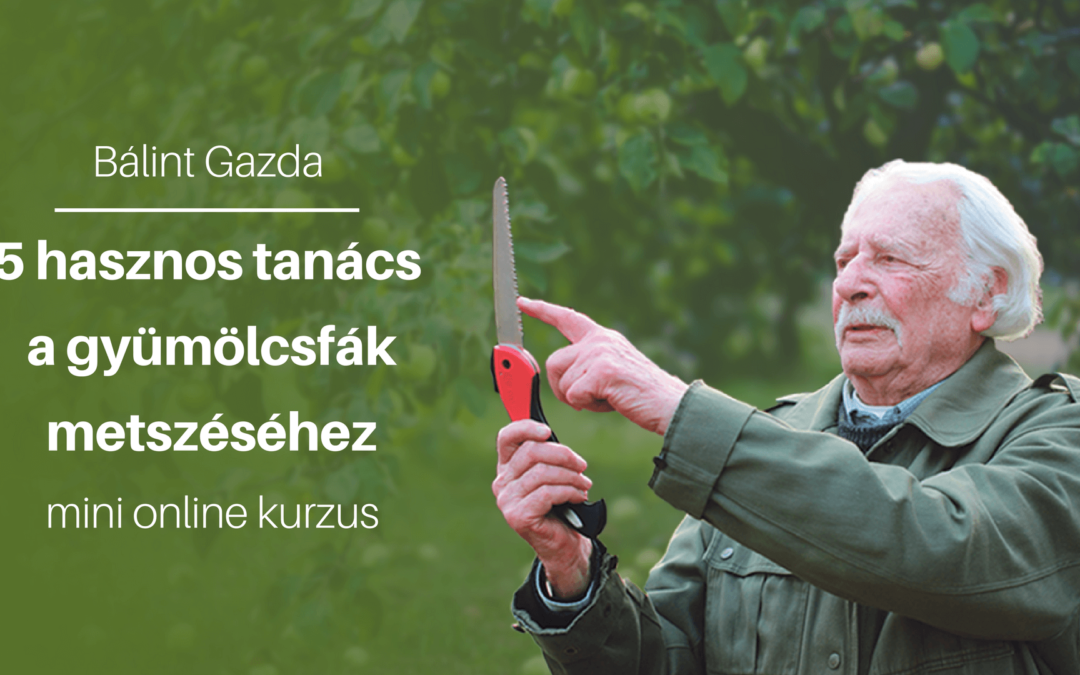 Bálint gazda tanácsai a gyümölcsfák metszéséhez